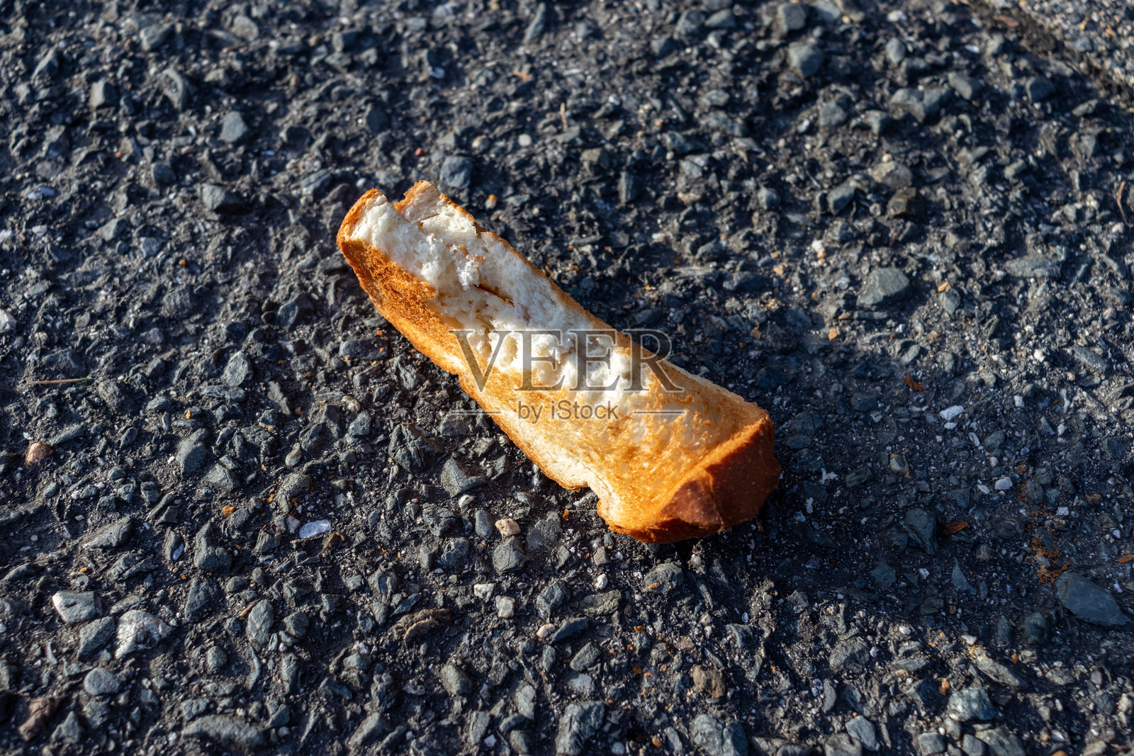 在柏油路上啃着烤面包照片摄影图片