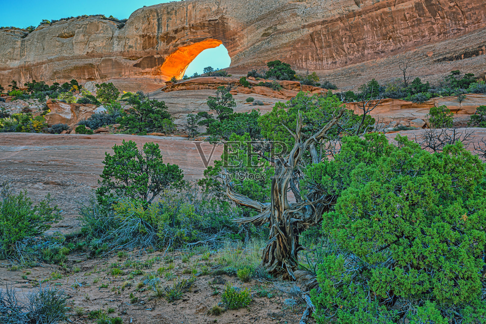拱门国家公园照片摄影图片