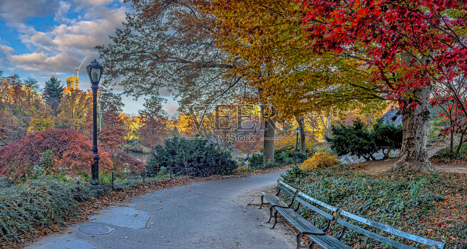 秋天中央公园的盖普斯托桥照片摄影图片