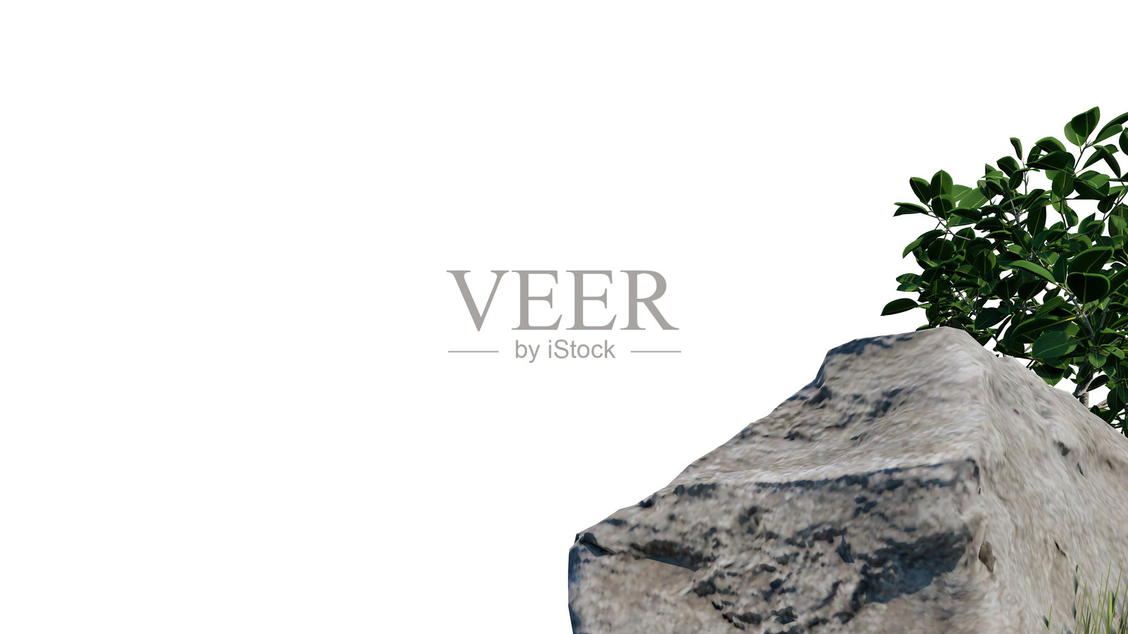 植被自然植物绿色自然环境树叶背景3d渲染。照片摄影图片