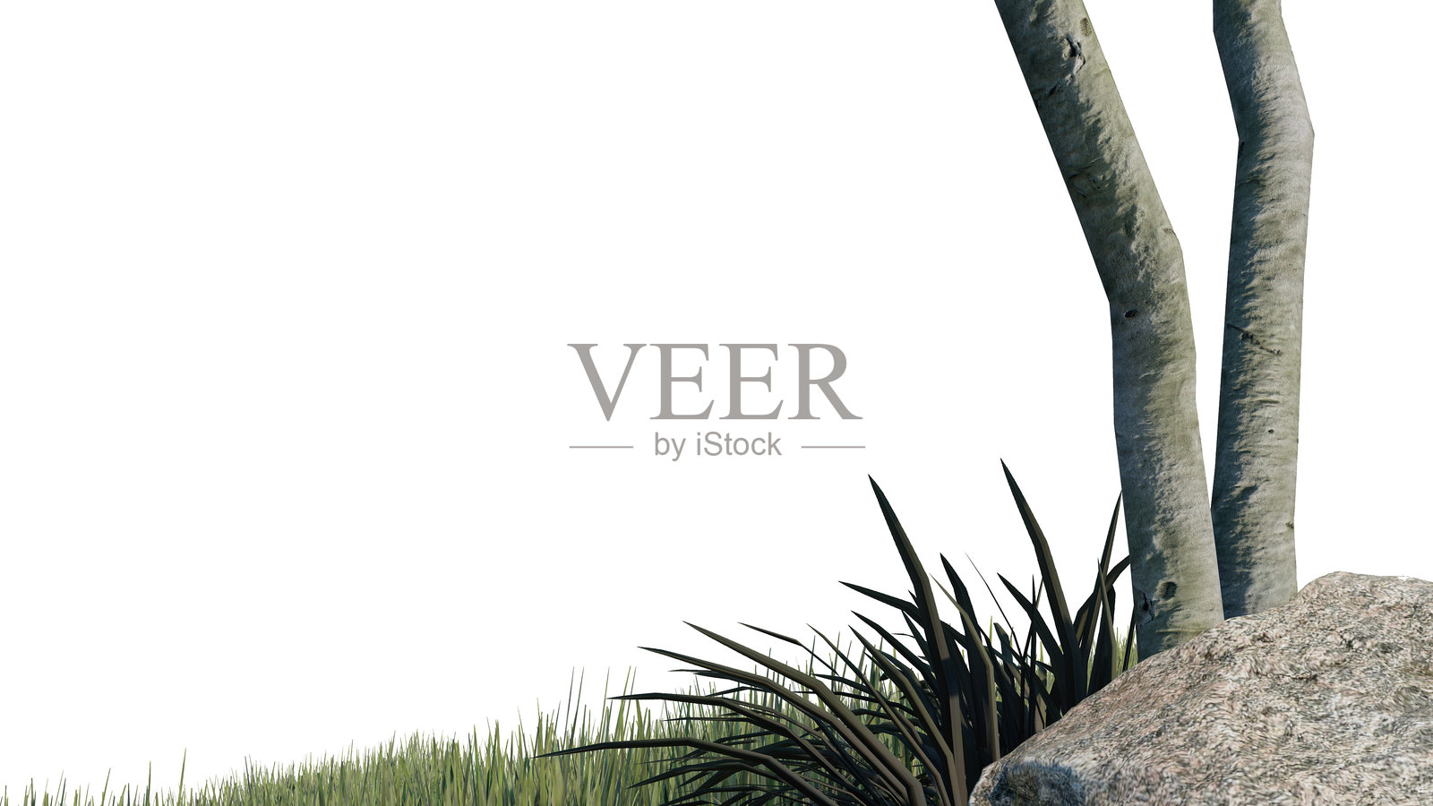 植被自然植物绿色自然环境树叶背景3d渲染。照片摄影图片