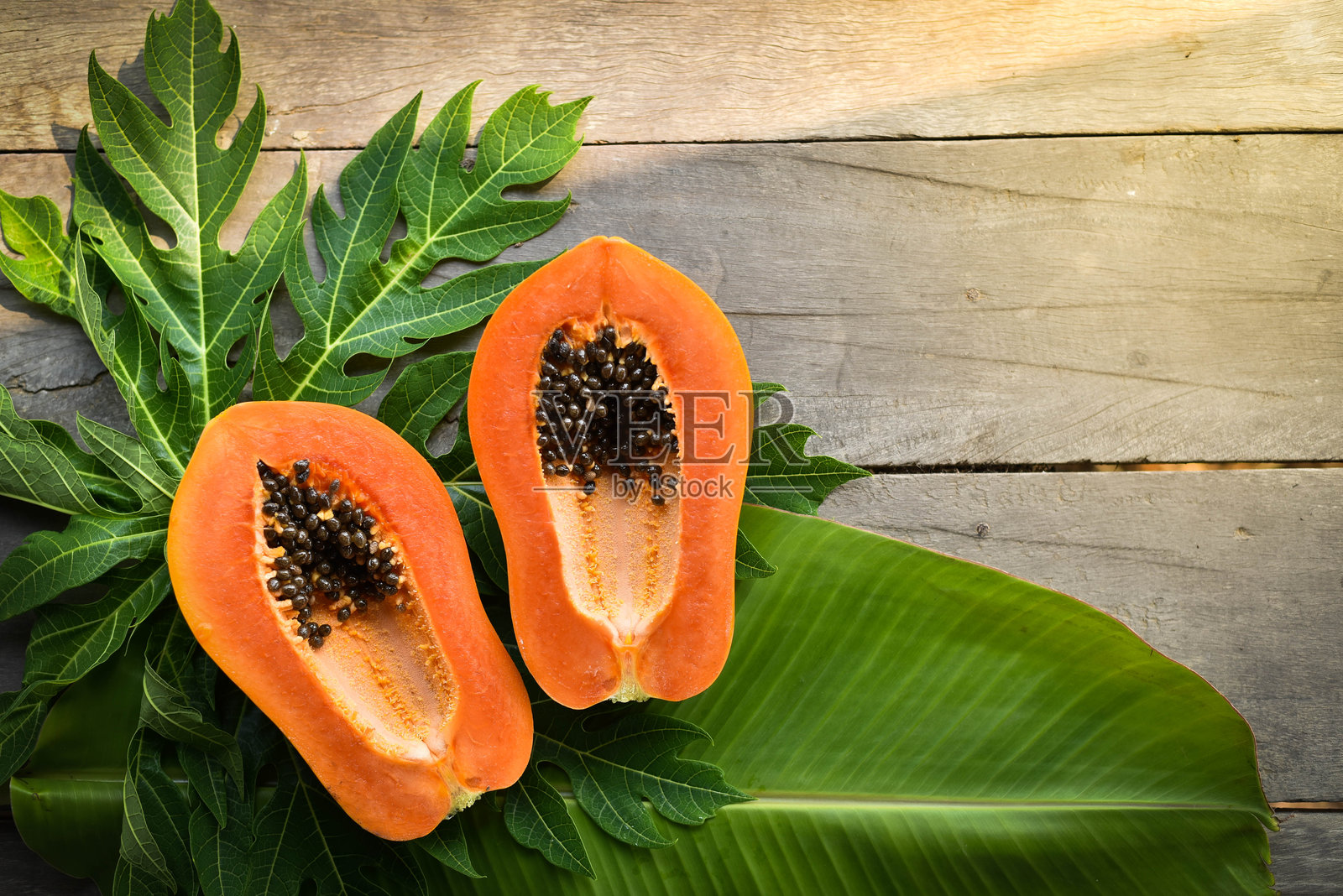 木上木瓜果实的高角度观察照片摄影图片