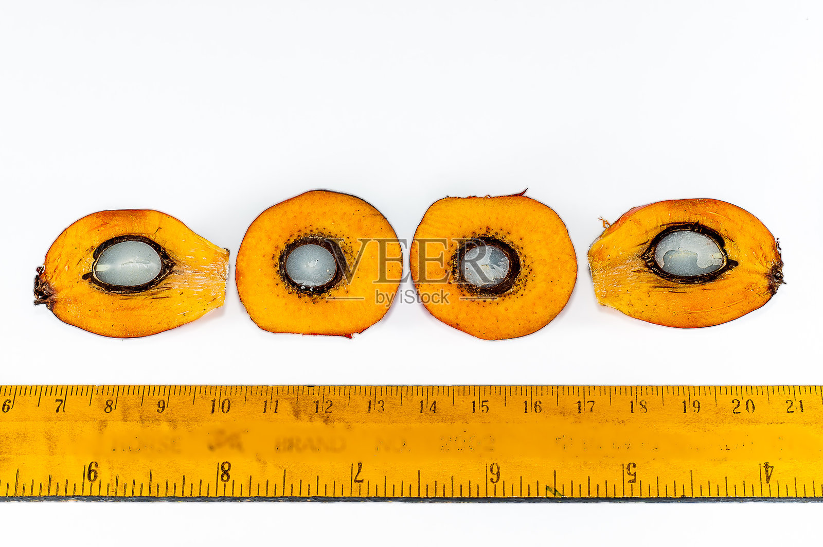 棕榈油水果的切割照片摄影图片