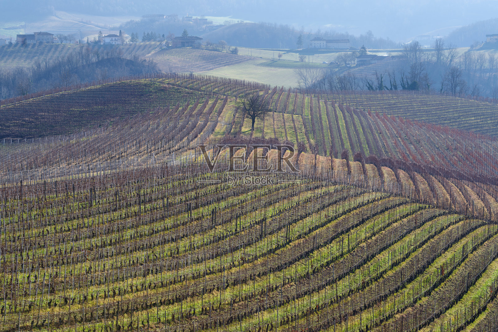 意大利朗河的乡村景观，葡萄藤和丘陵照片摄影图片