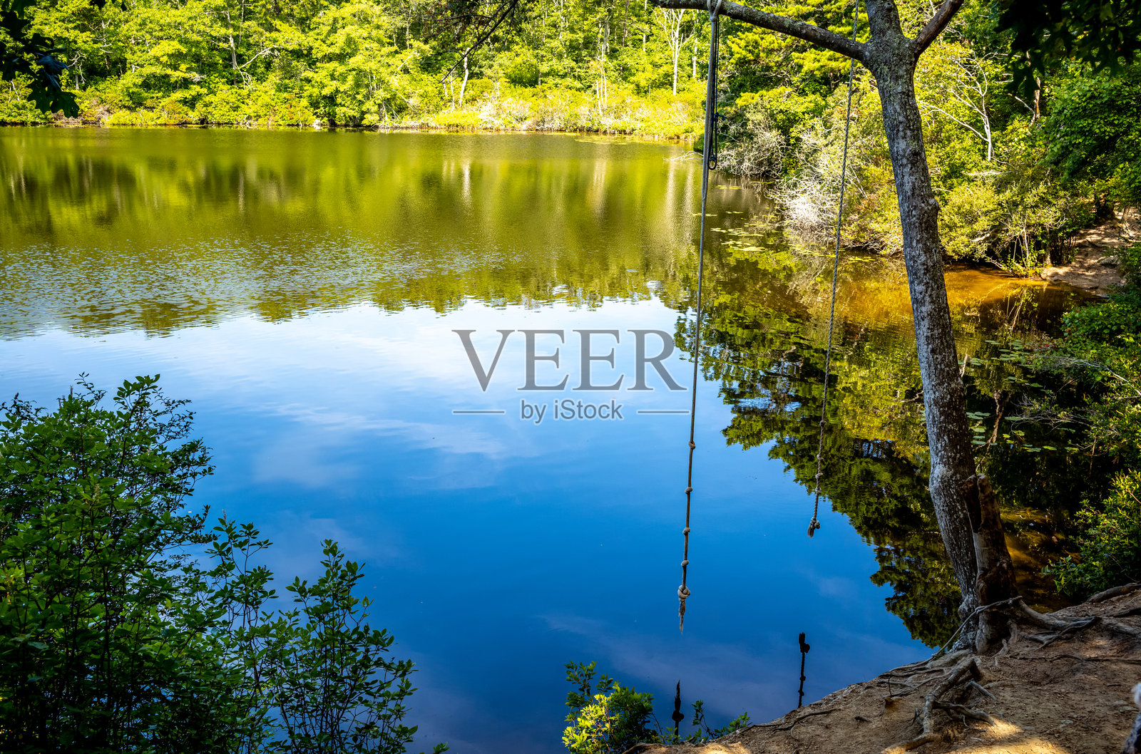 科德角的绳秋千照片摄影图片
