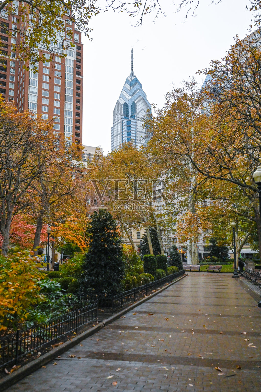 费城的秋天照片摄影图片