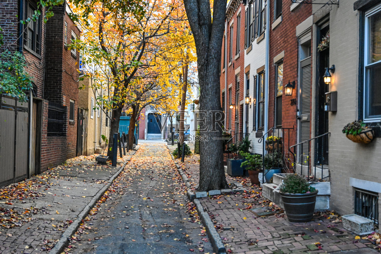 费城照片摄影图片