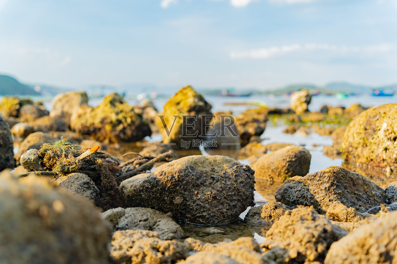 日落时海水退潮。照片摄影图片