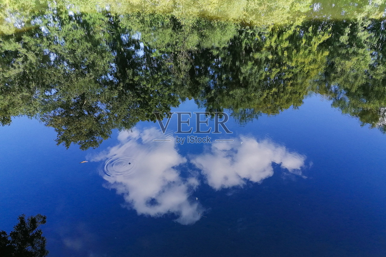 自然的镜子照片摄影图片