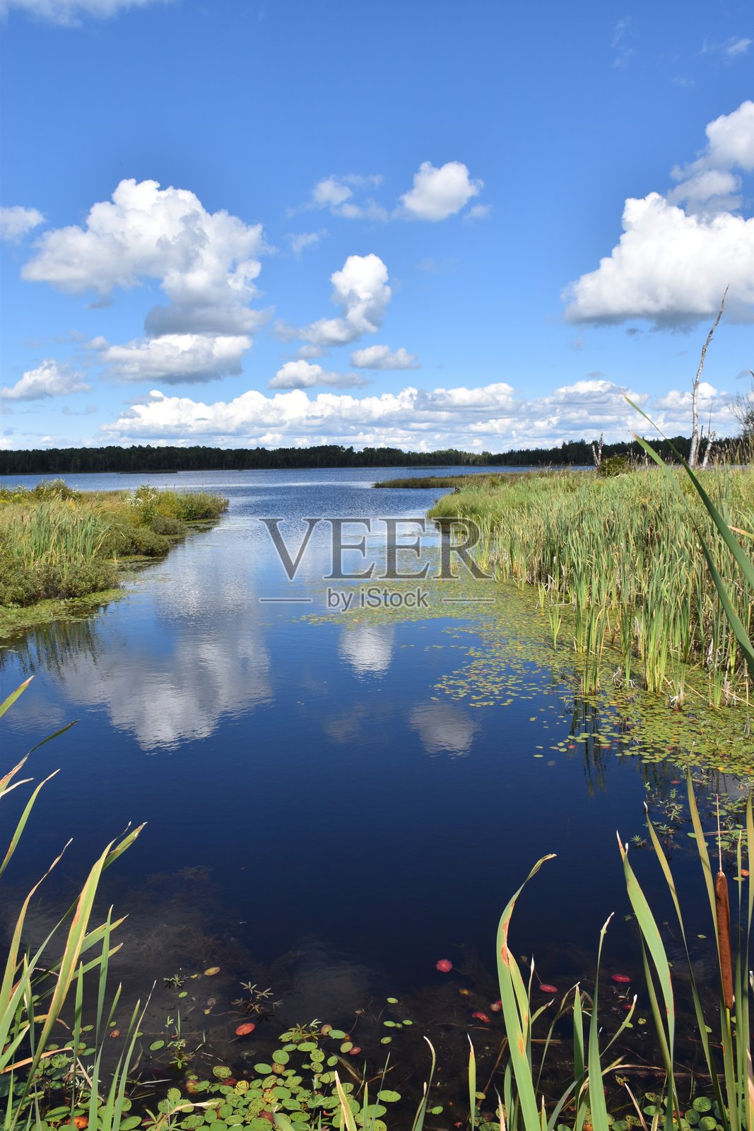 反射光就是光照片摄影图片