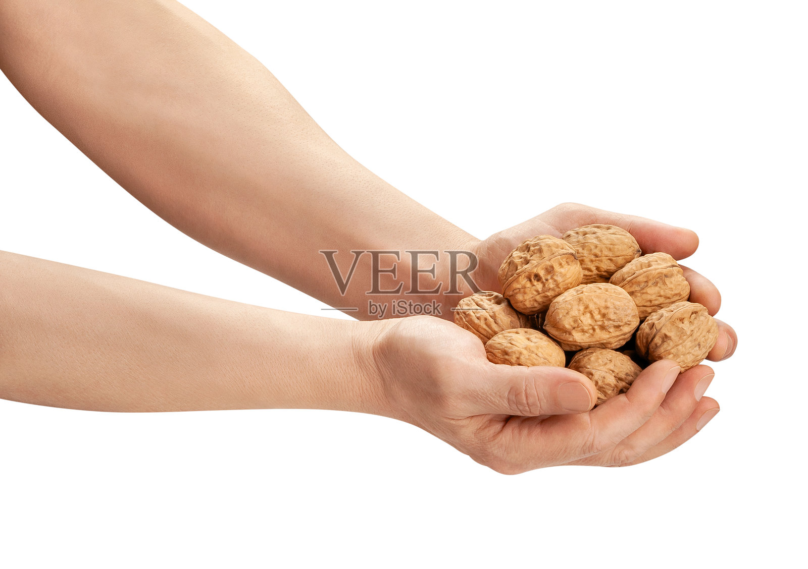 核桃在手照片摄影图片