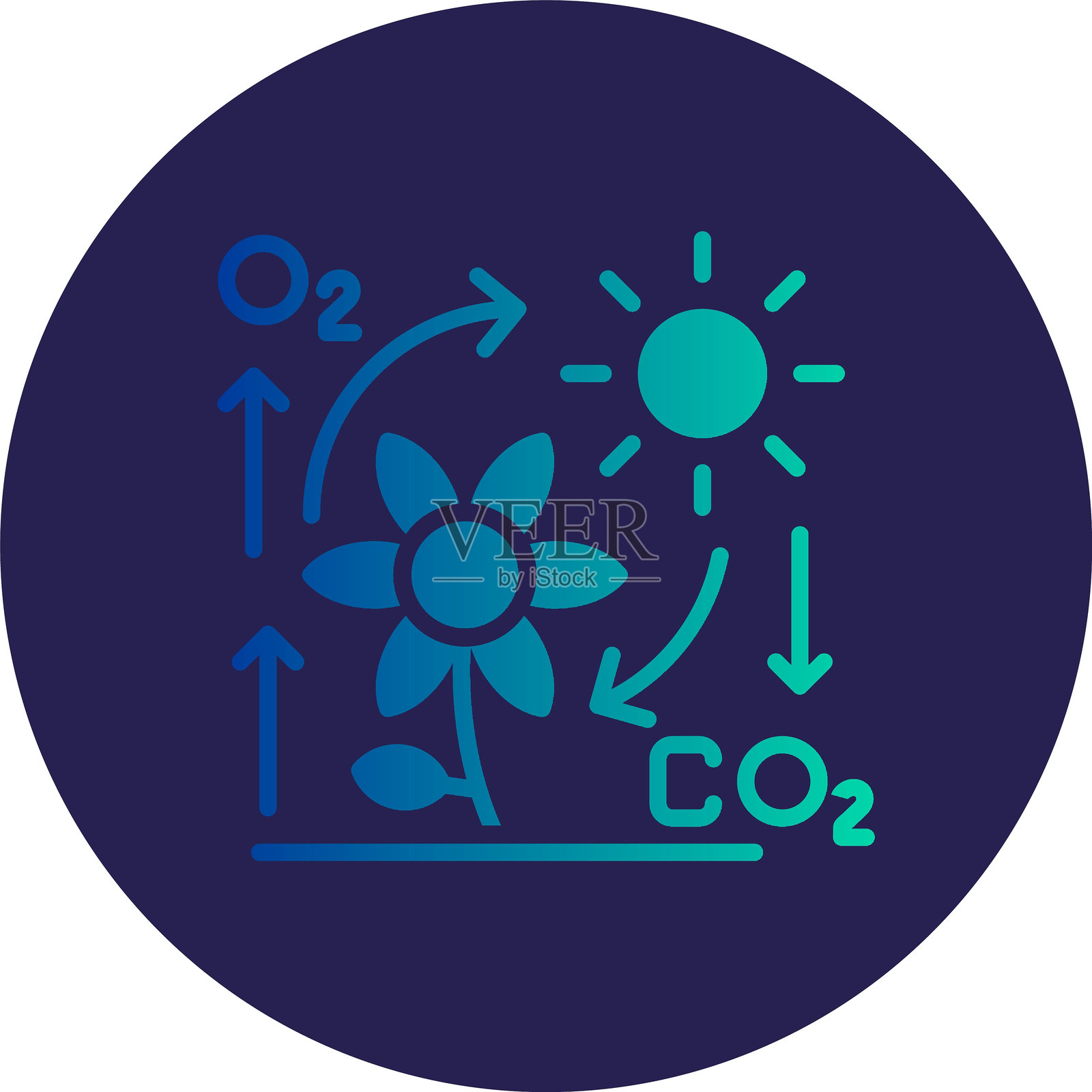 光合作用字形圆圈渐变图标插画图片素材