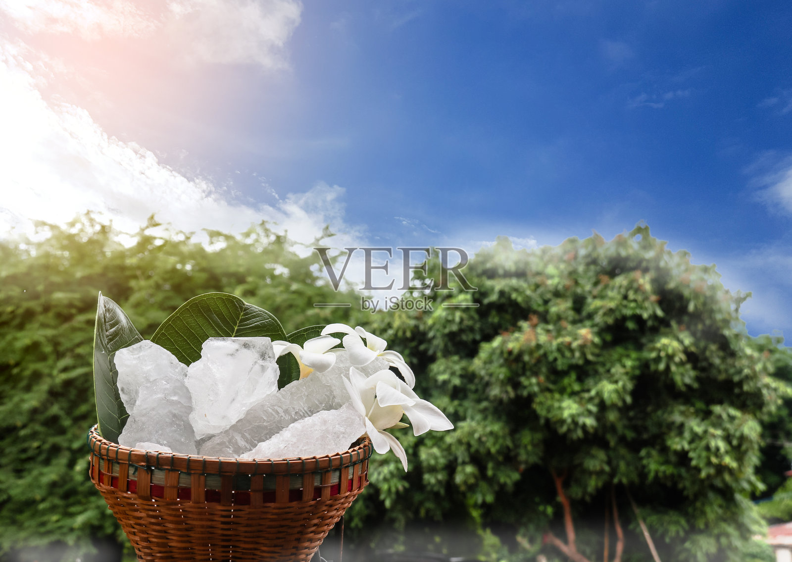 一个装满白色明矾晶体的篮子坐落在充满活力的绿色灌木背景上。照片摄影图片