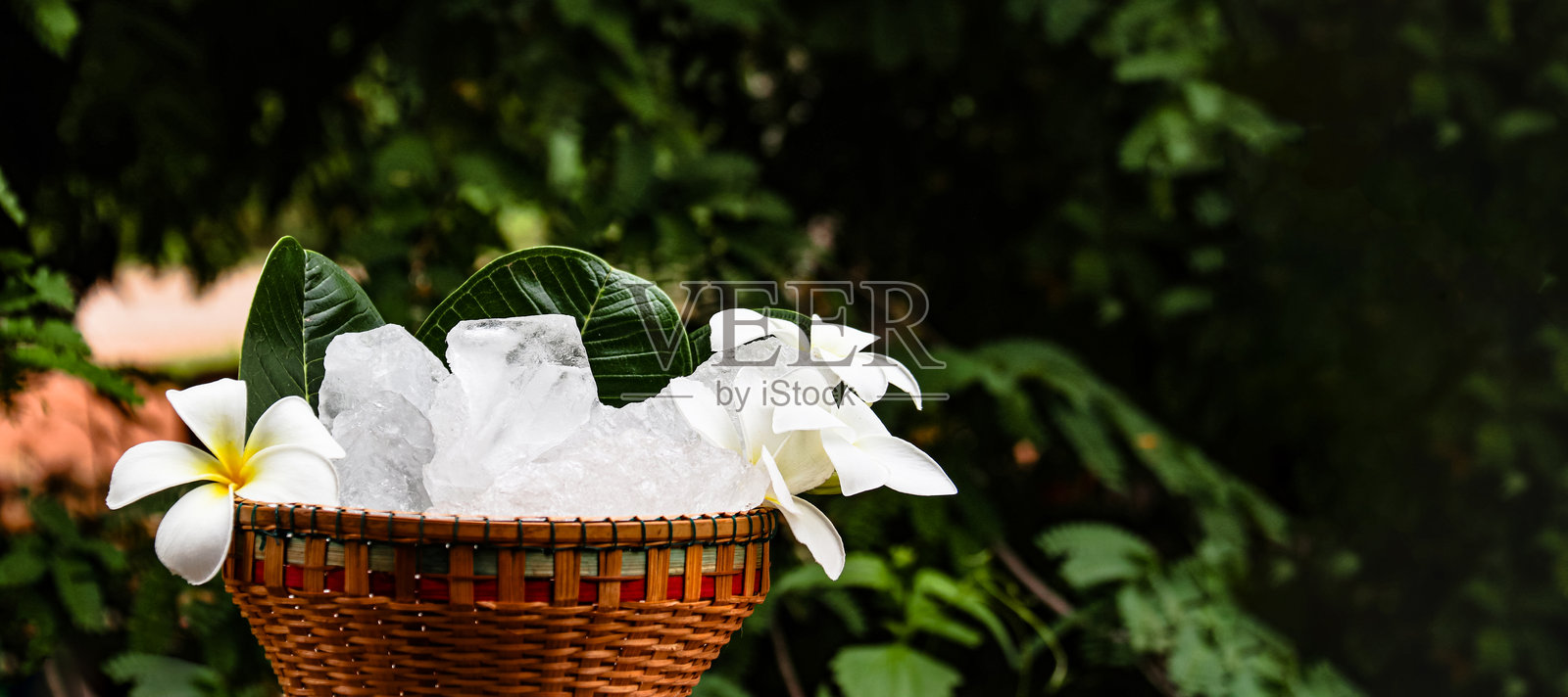 一个装满白色明矾晶体的篮子坐落在充满活力的绿色灌木背景上。照片摄影图片