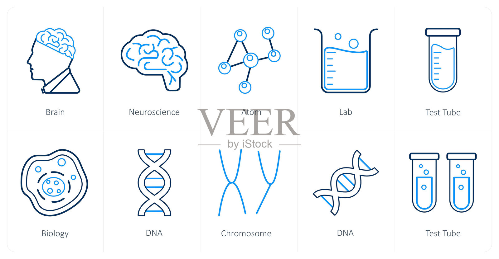 一套10个科学和实验图标，如大脑，神经科学，原子插画图片素材