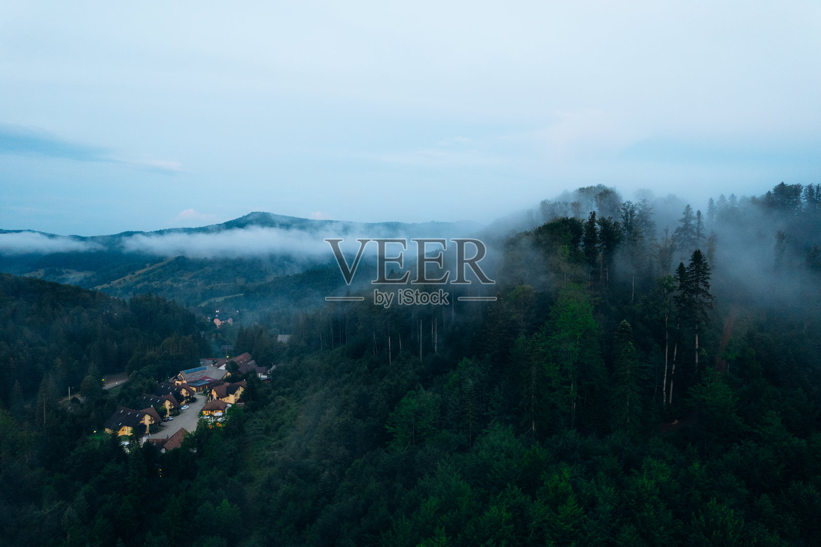 日落时雾气缭绕的山间松林。雾蒙蒙的风景与冷杉林。照片摄影图片