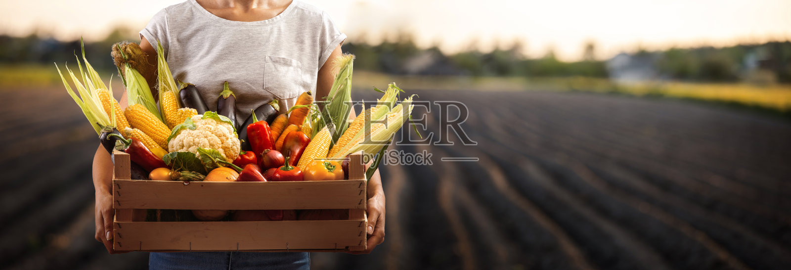 农妇拿着装满新鲜蔬菜的木箱照片摄影图片