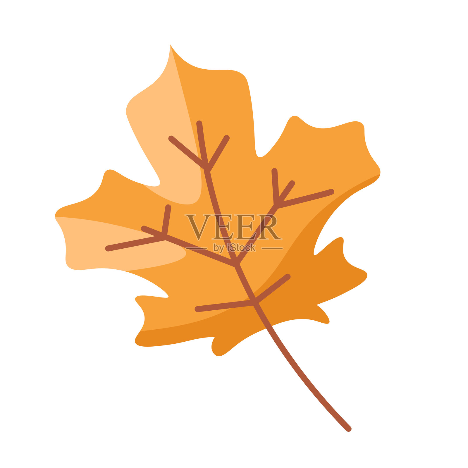 橙色秋叶孤立设计插画图片素材