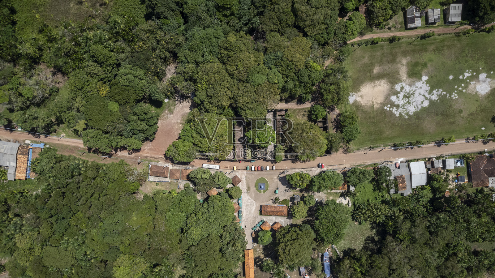 森林中学校的废墟照片摄影图片