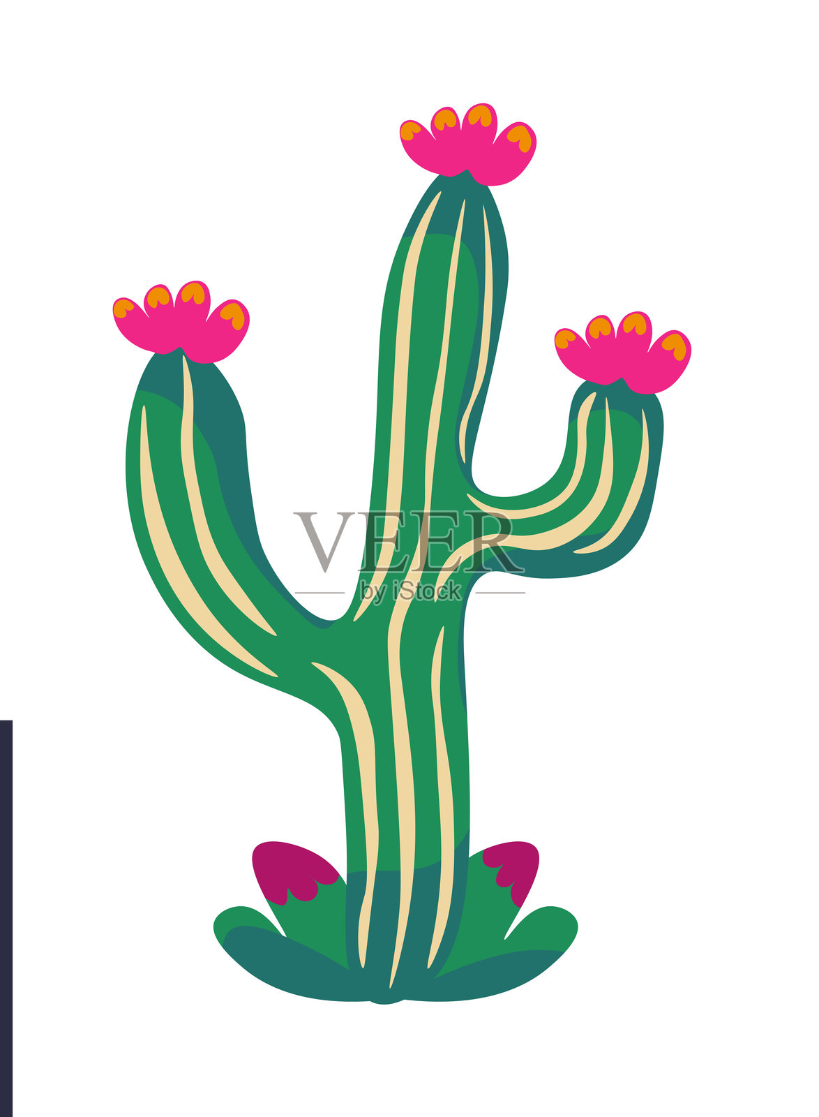 仙人掌与粉红色的花矢量插画图片素材