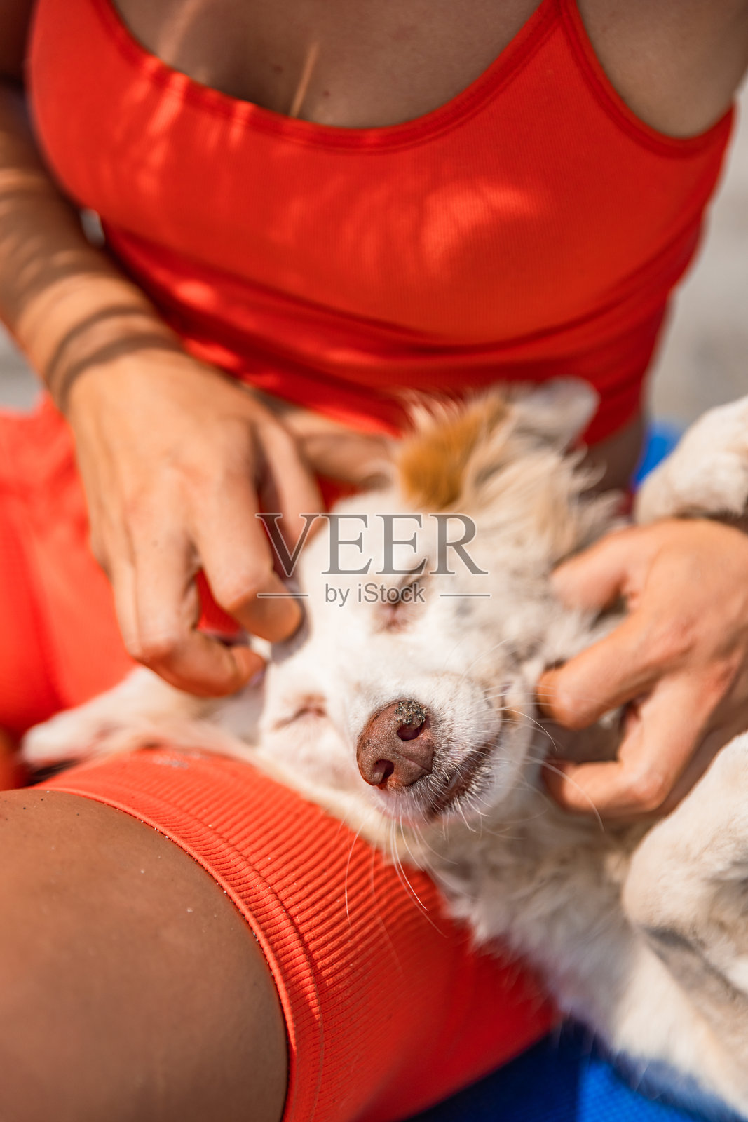 金发女郎在海滩上做完瑜伽后和狗狗一起放松照片摄影图片