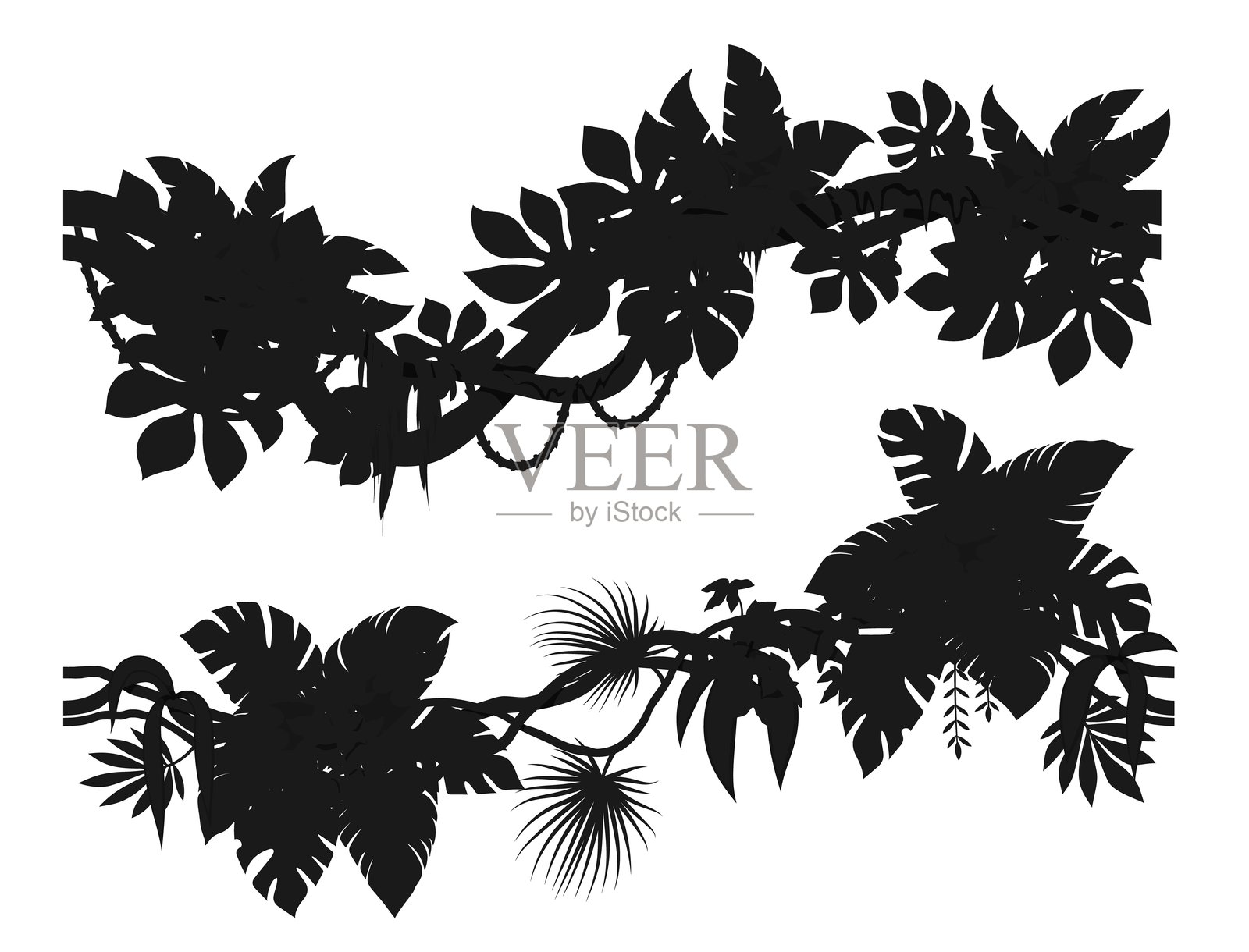 热带丛林森林藤本树枝剪影插画图片素材