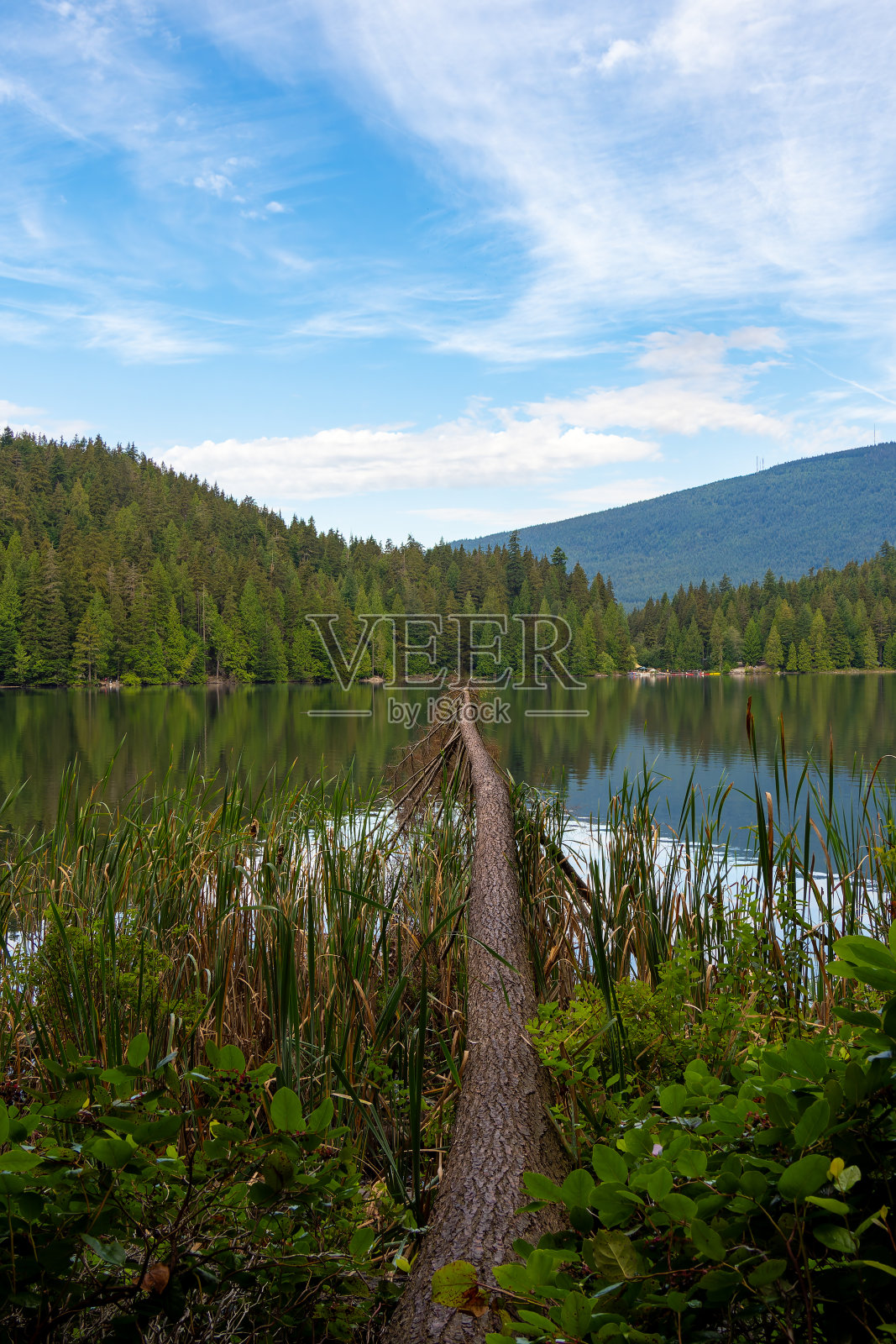 贝尔卡拉地区公园照片摄影图片