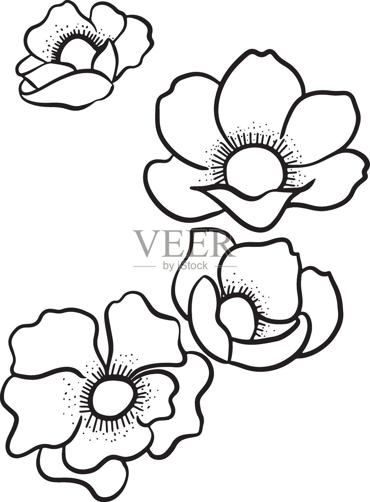 手绘草图的花蕾，矢量插图插画图片素材