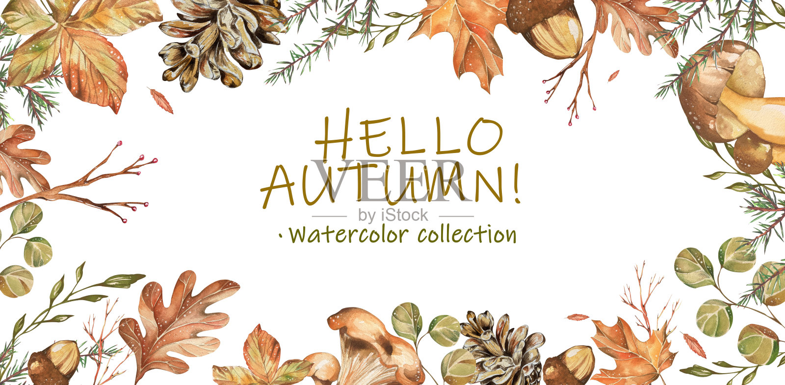 框架。主题你好，秋天。明亮的枫叶，栗子，橡树，罗文浆果，蘑菇，球果。水彩插图。采购产品明信片，网站，壁纸，包装，纺织品，文具插画图片素材