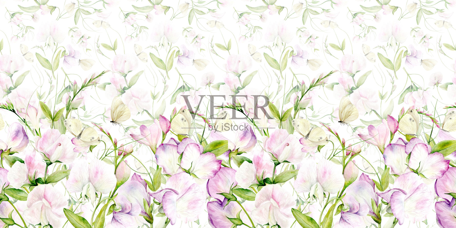 无缝图案的水彩花香豌豆和蝴蝶。插图是用柔和的颜色手绘的。适用于卡片设计，纺织品和剪贴簿。插画图片素材