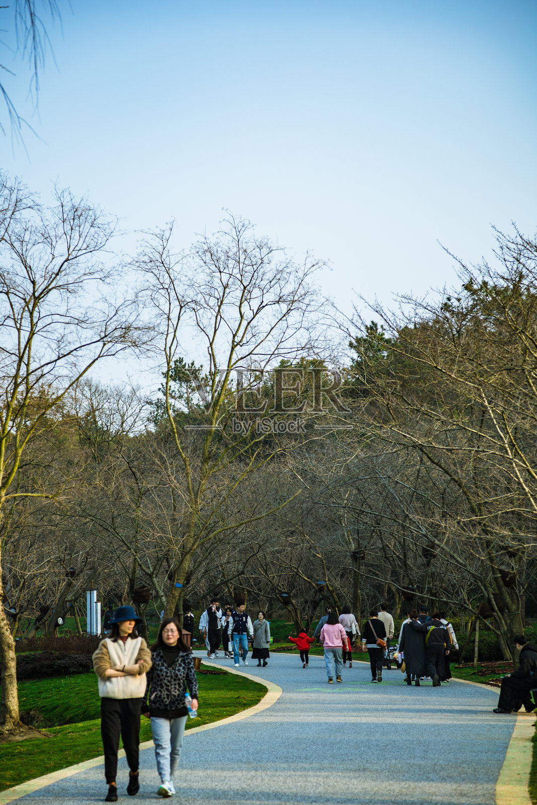 江苏省无锡市太湖鼋头渚风景区——园林风景照片摄影图片