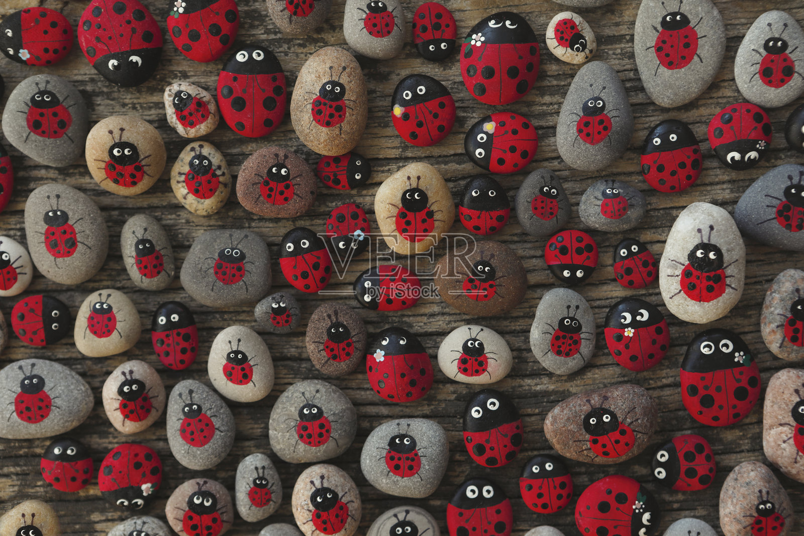 手绘瓢虫岩石照片摄影图片