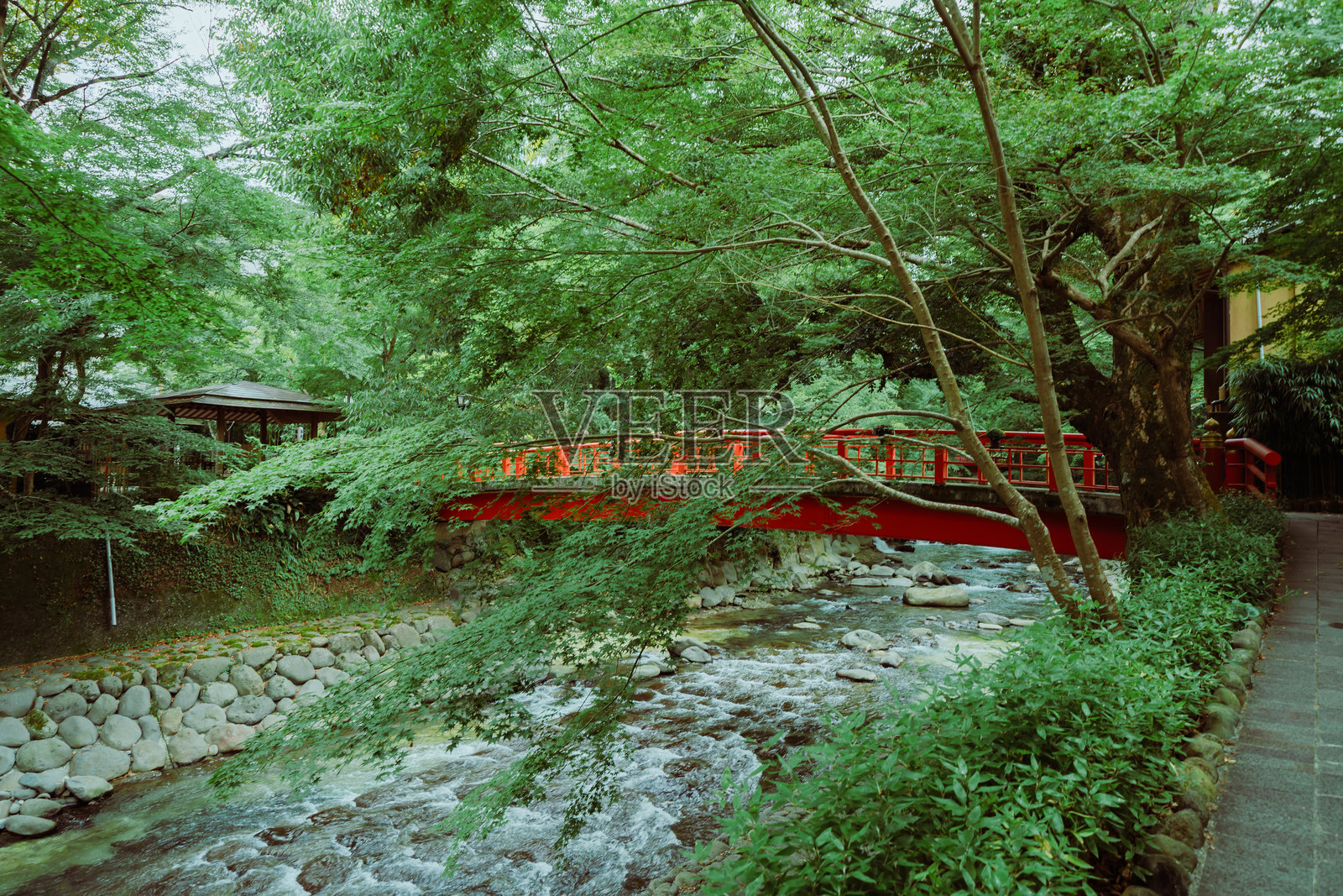 伊豆之旅的风景照片摄影图片