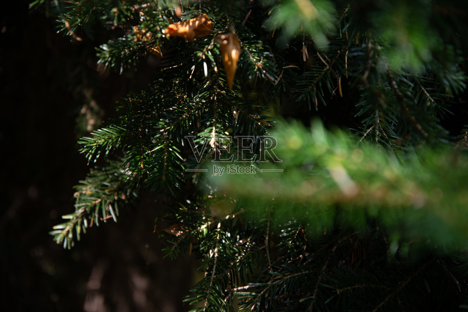 早春美丽的山景。照片摄影图片