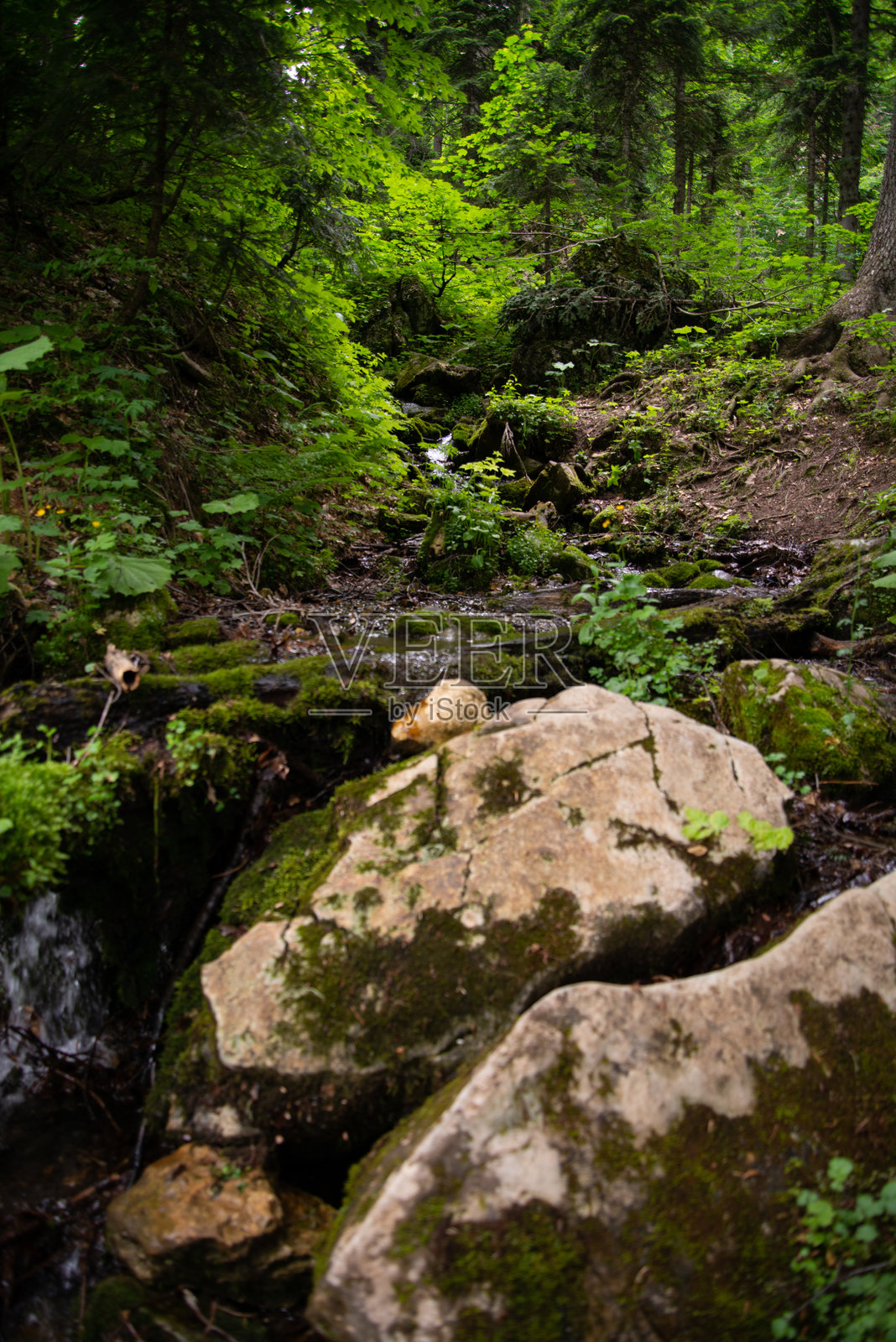早春美丽的山景。照片摄影图片
