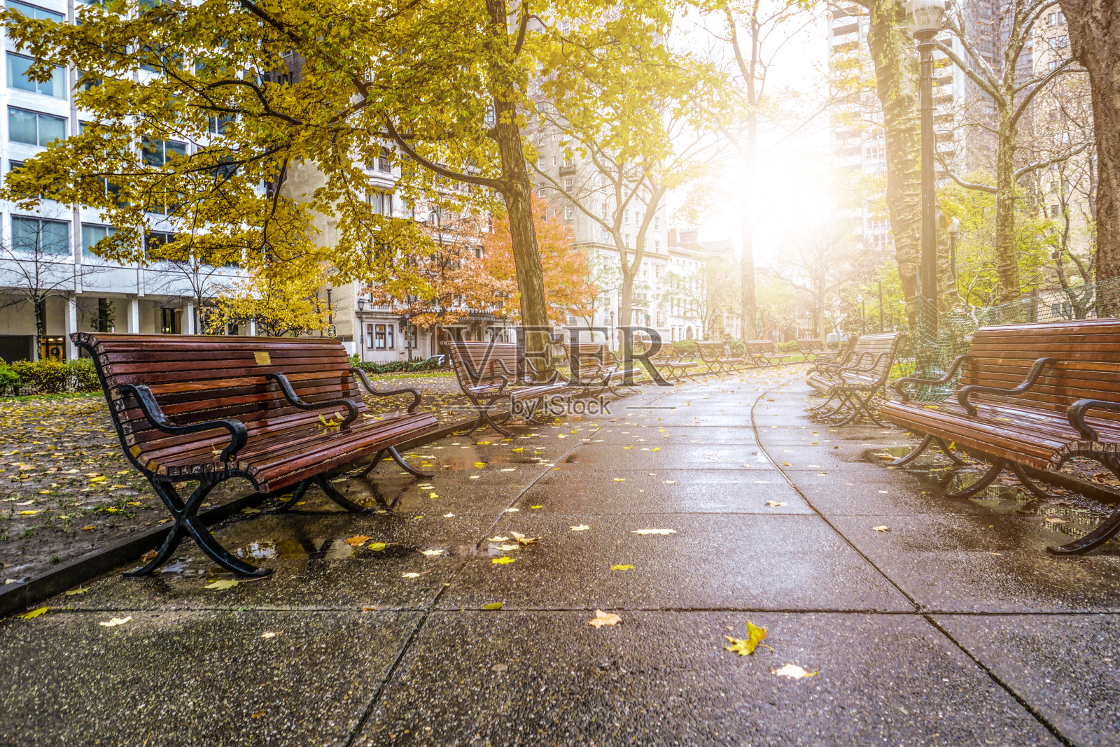 费城的秋天照片摄影图片