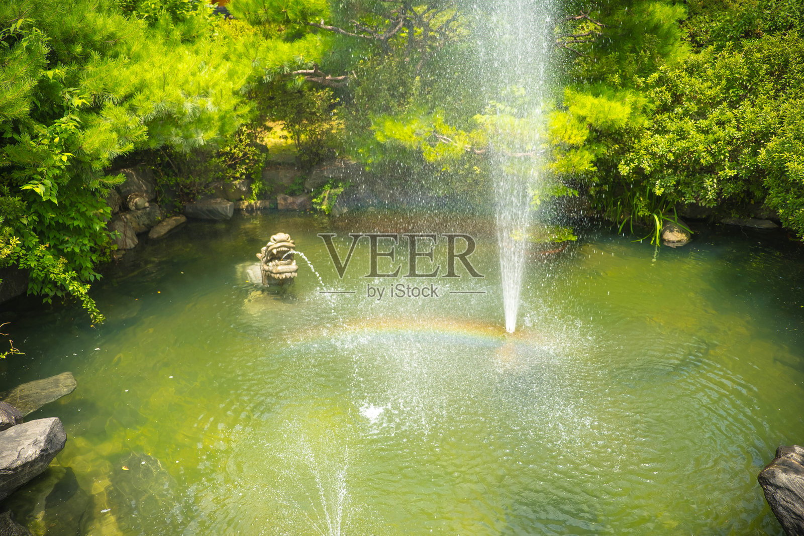 宁静的池塘与喷泉:一个宁静的自然景观照片摄影图片