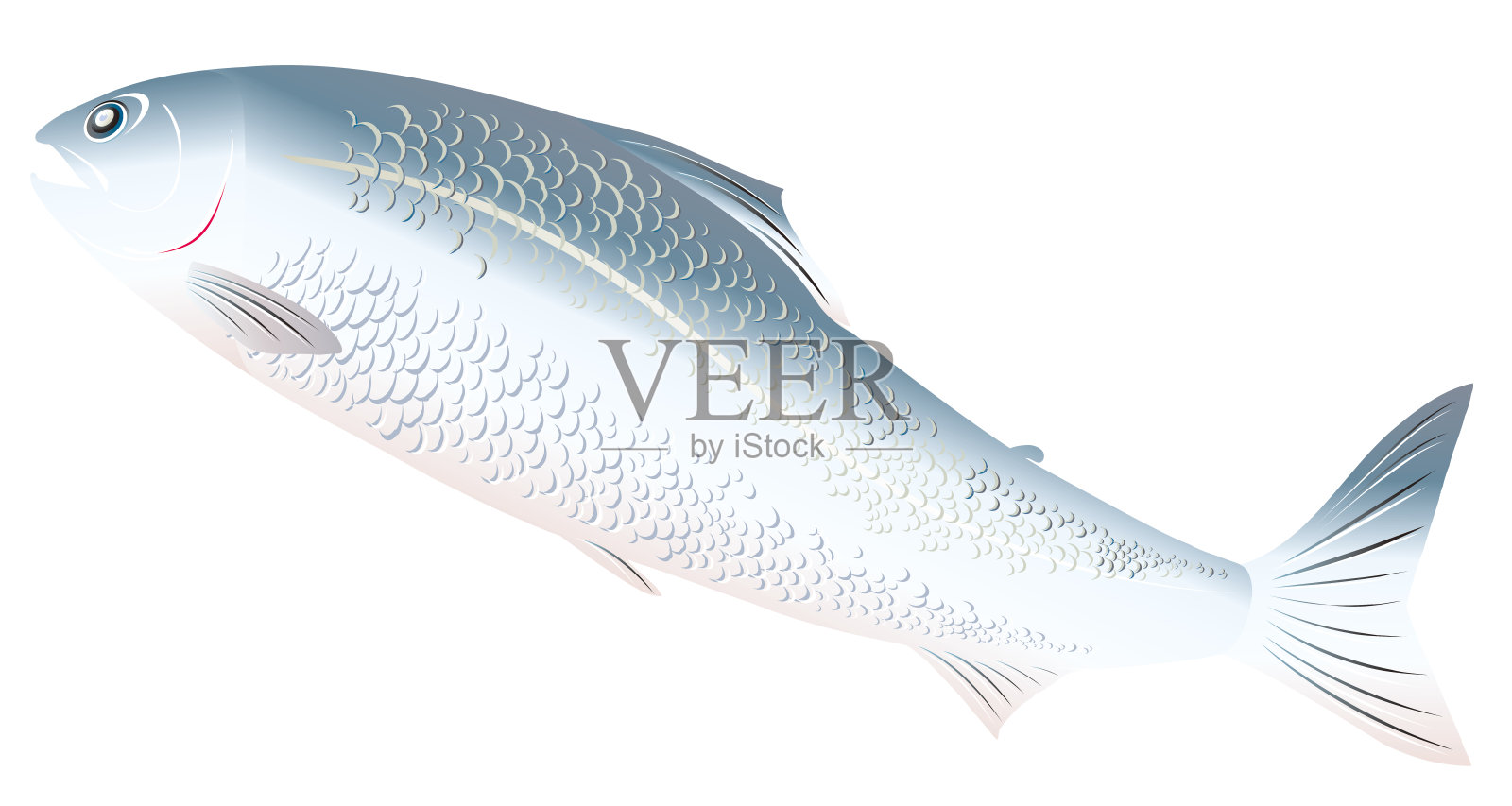简单可爱的鲑鱼逆流而上的插图(白色裁剪的背景材料)插画图片素材