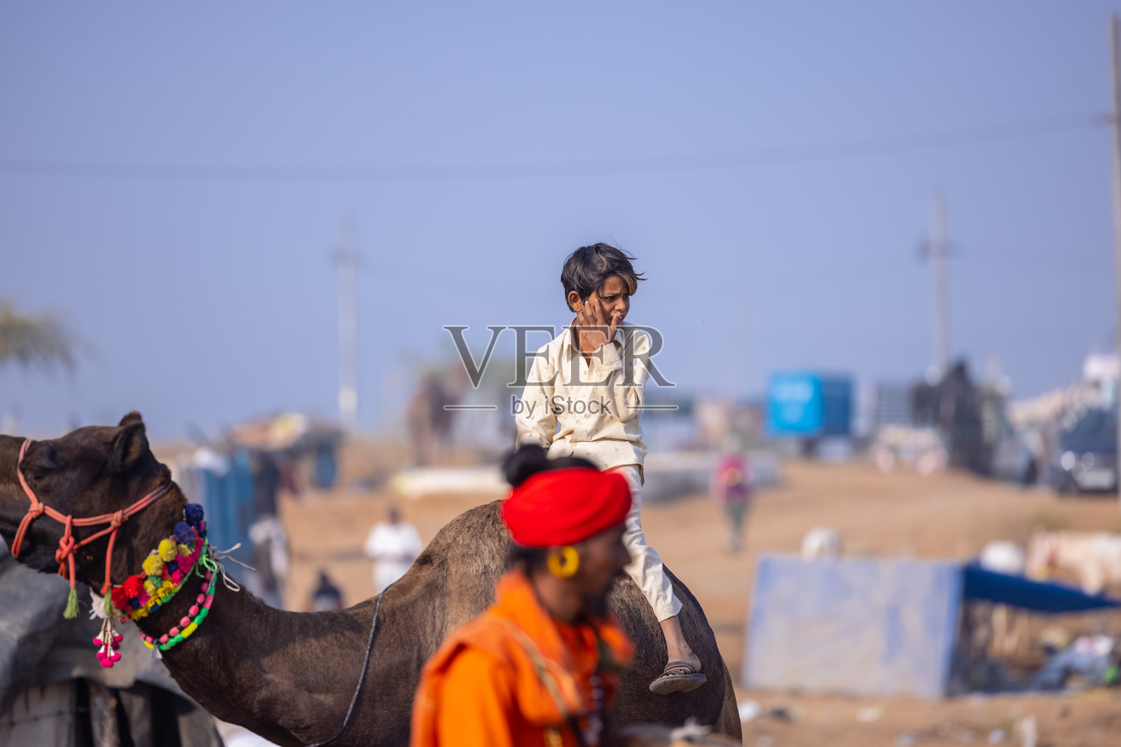 普什卡尔骆驼集市照片摄影图片