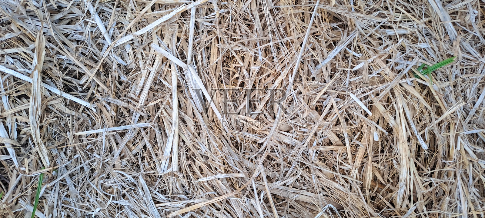 以干草堆为背景的稻草墙或褐色的自然屋顶纹理为装饰建筑，以乡村住宅为自然农业，黄色的金色壁纸与图案复制空间照片摄影图片