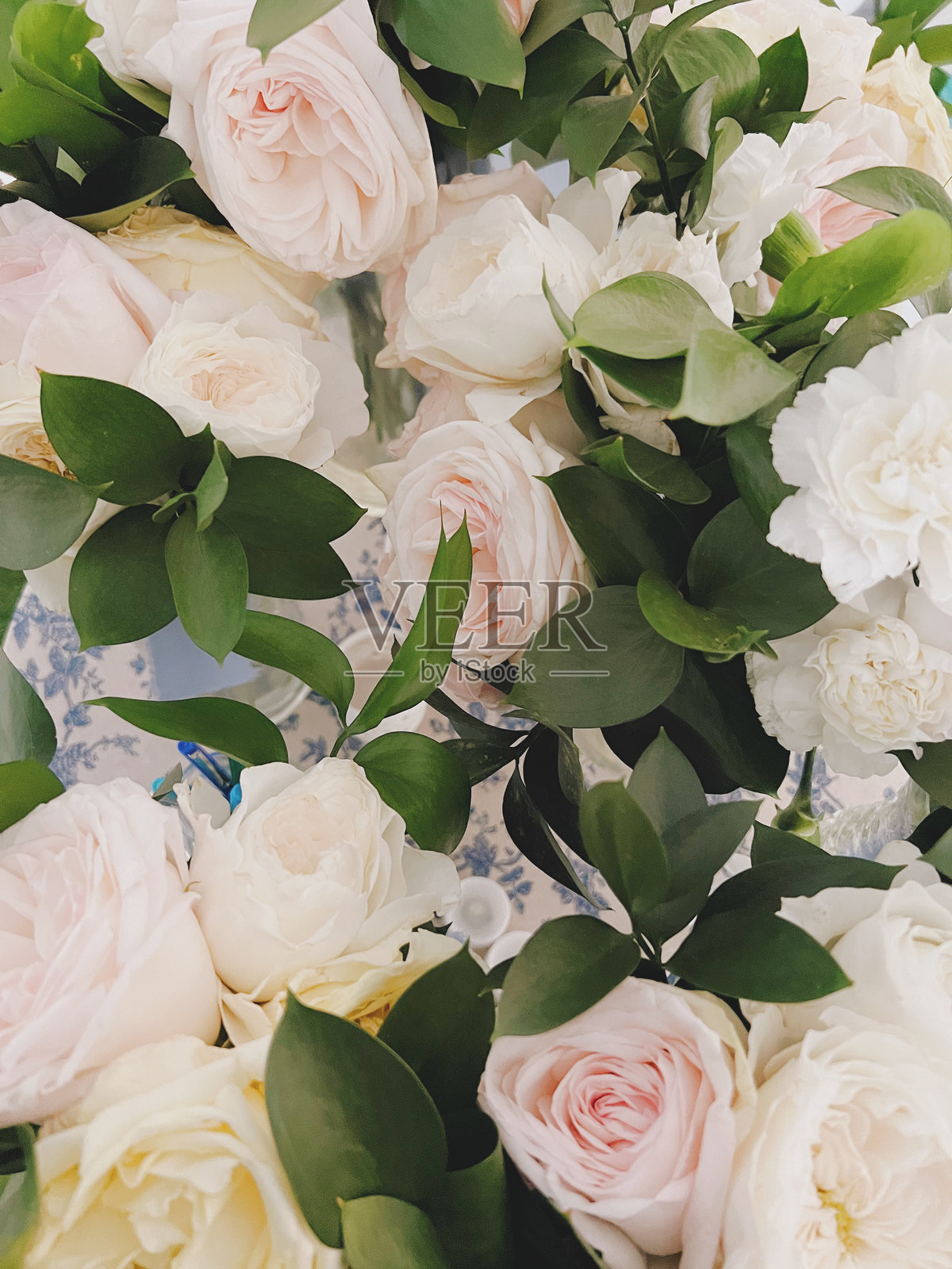 粉红色和黄色调的白玫瑰照片摄影图片