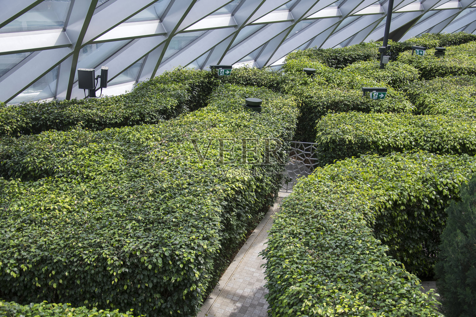 宝石樟宜树篱迷宫位于新加坡的宝石樟宜照片摄影图片