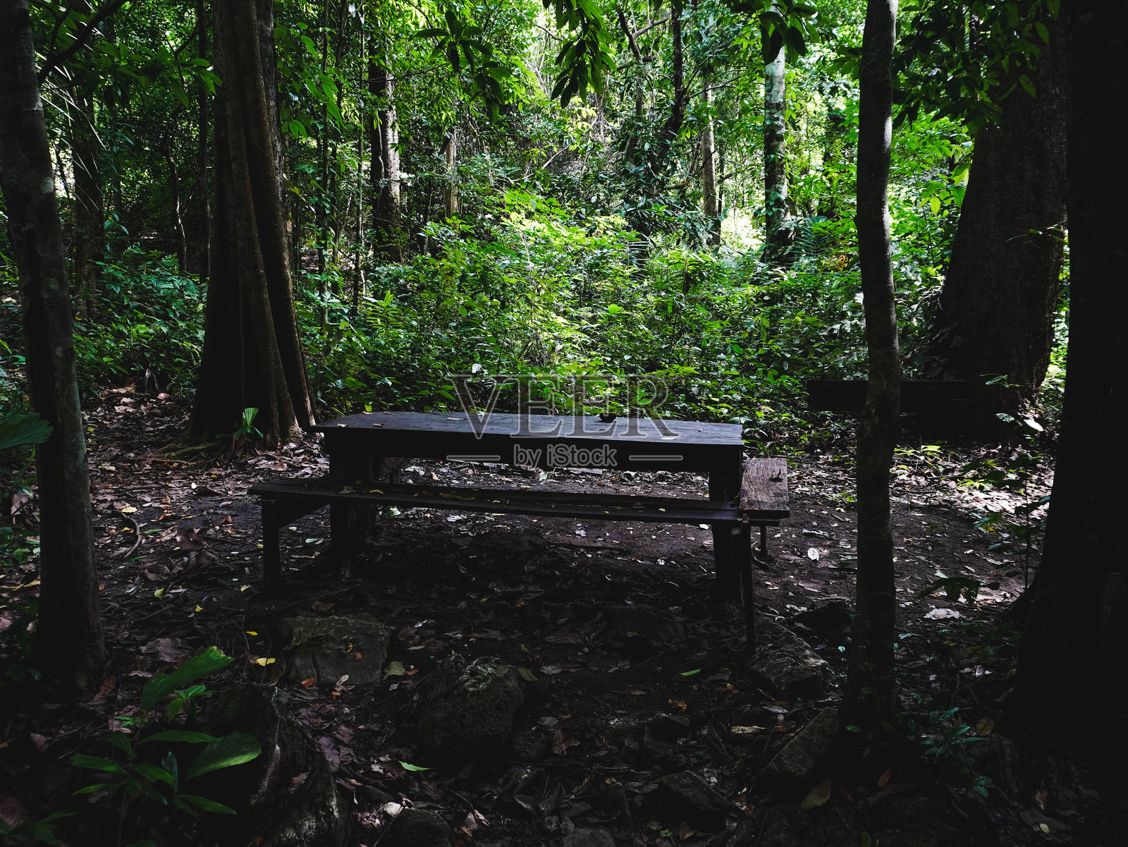 泰国北碧府Chalerm Rattanakosin国家公园的自然步道，被郁郁葱葱的绿色森林包围的Tham Tarn Lod Noi洞穴。照片摄影图片