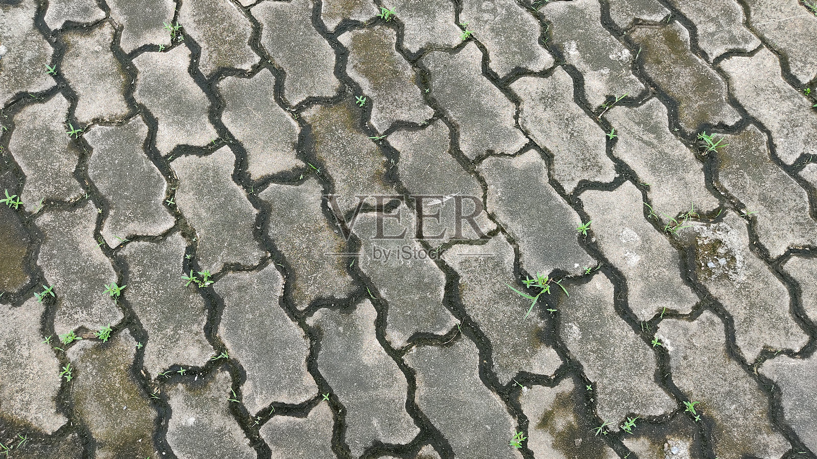 小径纹理照片摄影图片