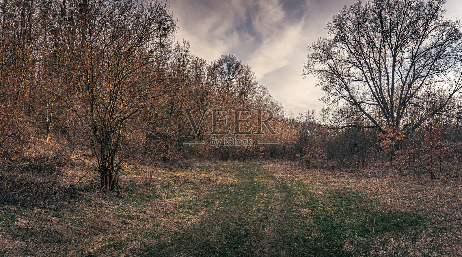 春夜景观照片摄影图片