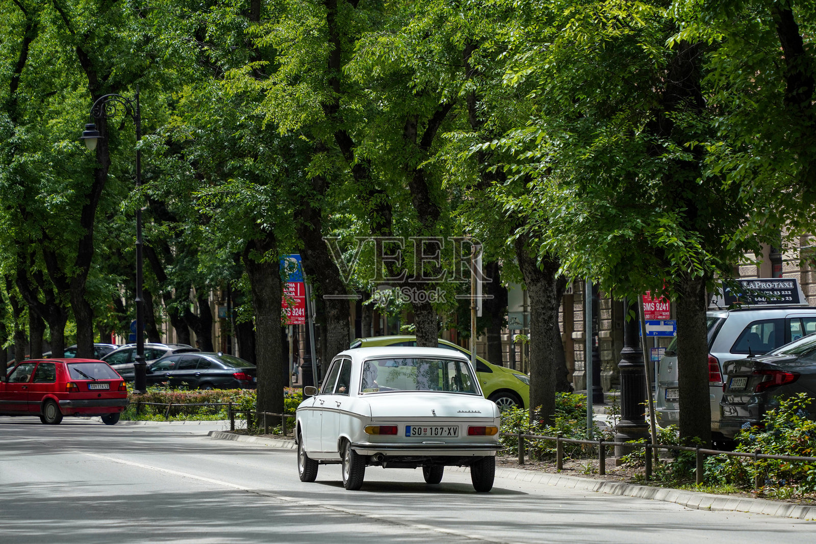 经典法国汽车标致204白色照片摄影图片