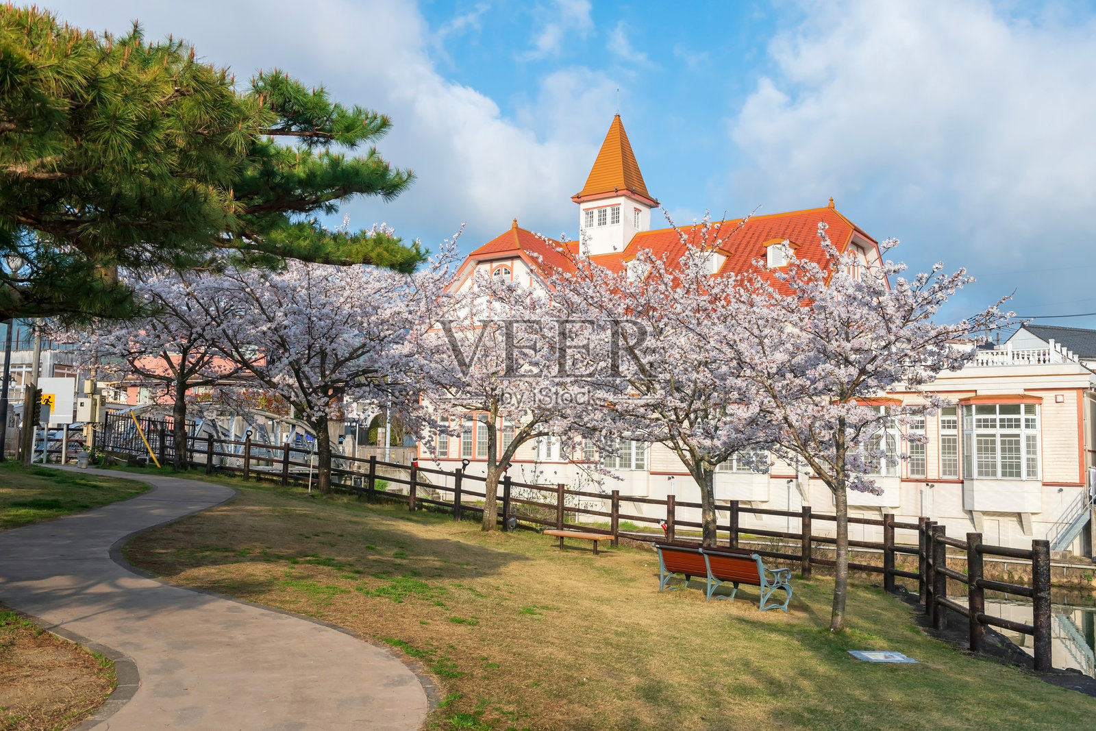 樱花隧道与西博尔德无宇在Ureshino温泉公园照片摄影图片