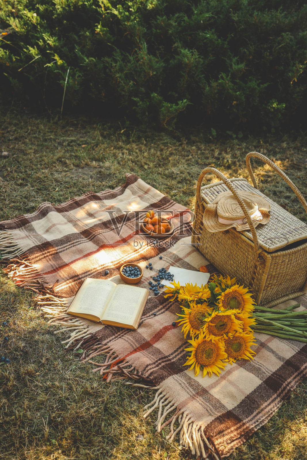 野餐篮，书和花园里的向日葵，夏日心情照片摄影图片
