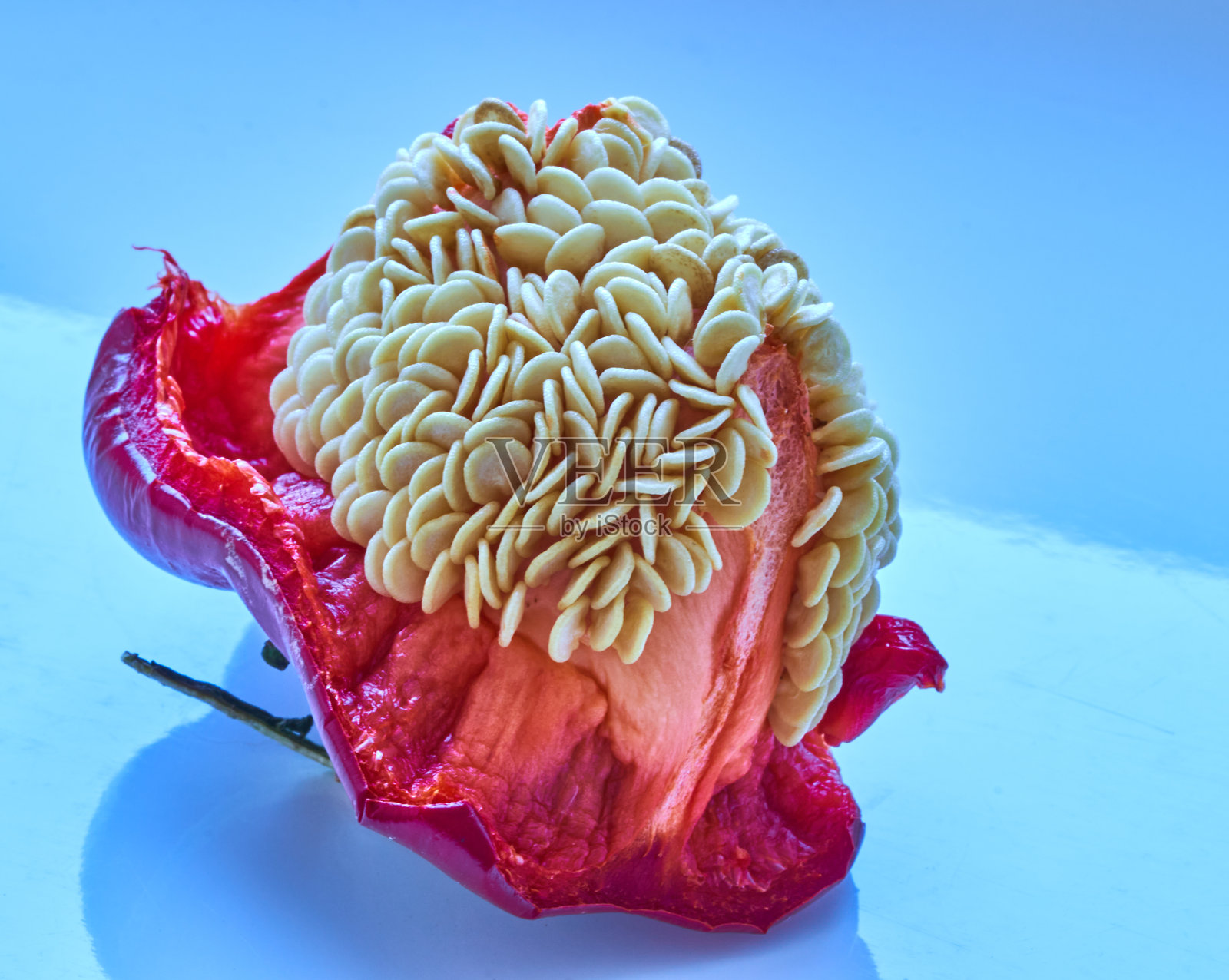 桌上放着甜椒籽照片摄影图片