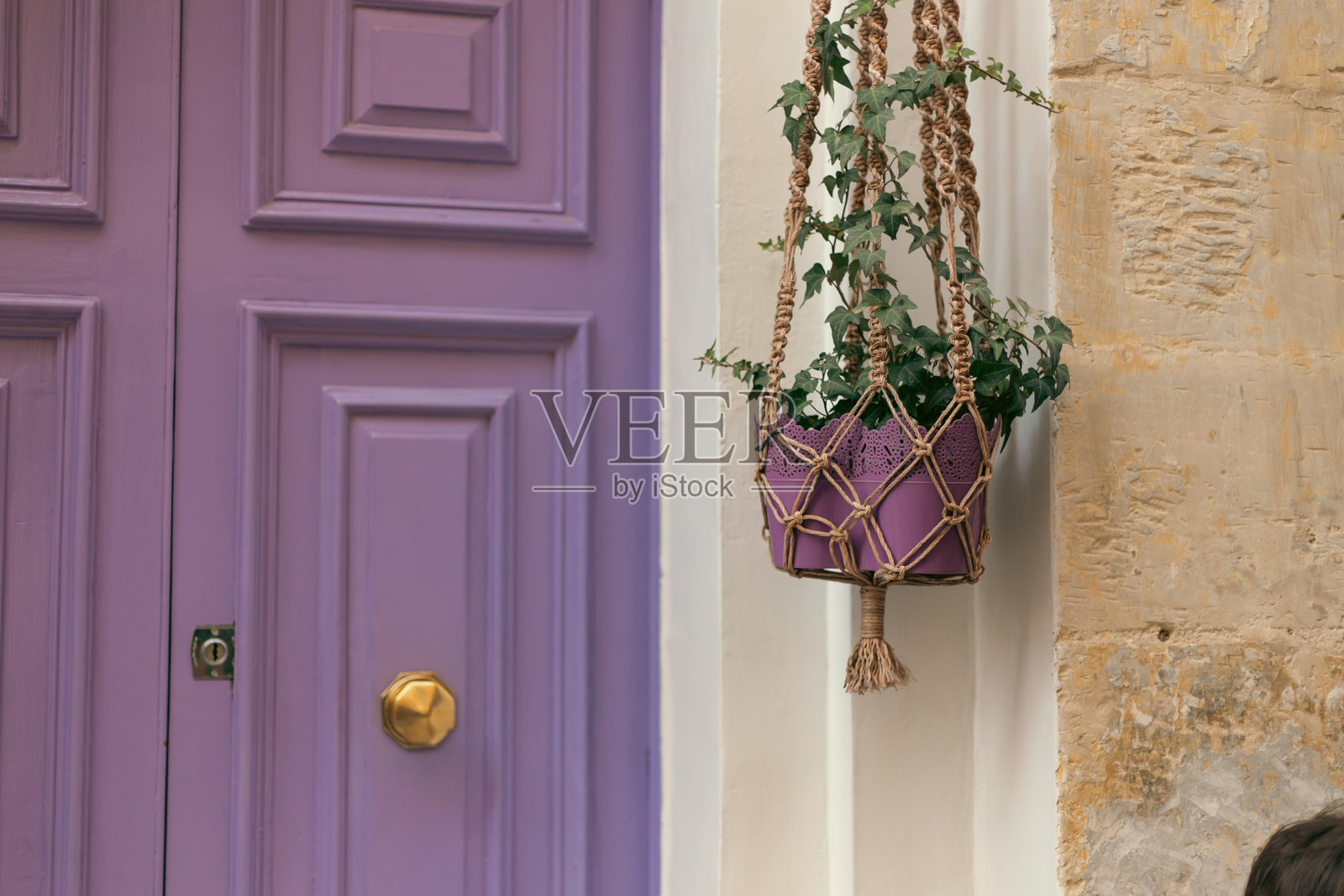 在马耳他瓦莱塔，一座建筑物入口处的美丽装饰植物和一个紫色的花盆照片摄影图片